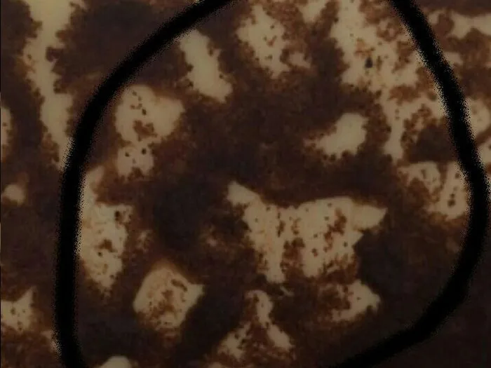 Запись на прием к гадалке в Тулуне